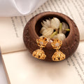 Aesthetic Curved Blossom Stone Golden Jhumkas