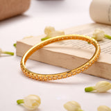 Simple Stone Gold Plated Bangles