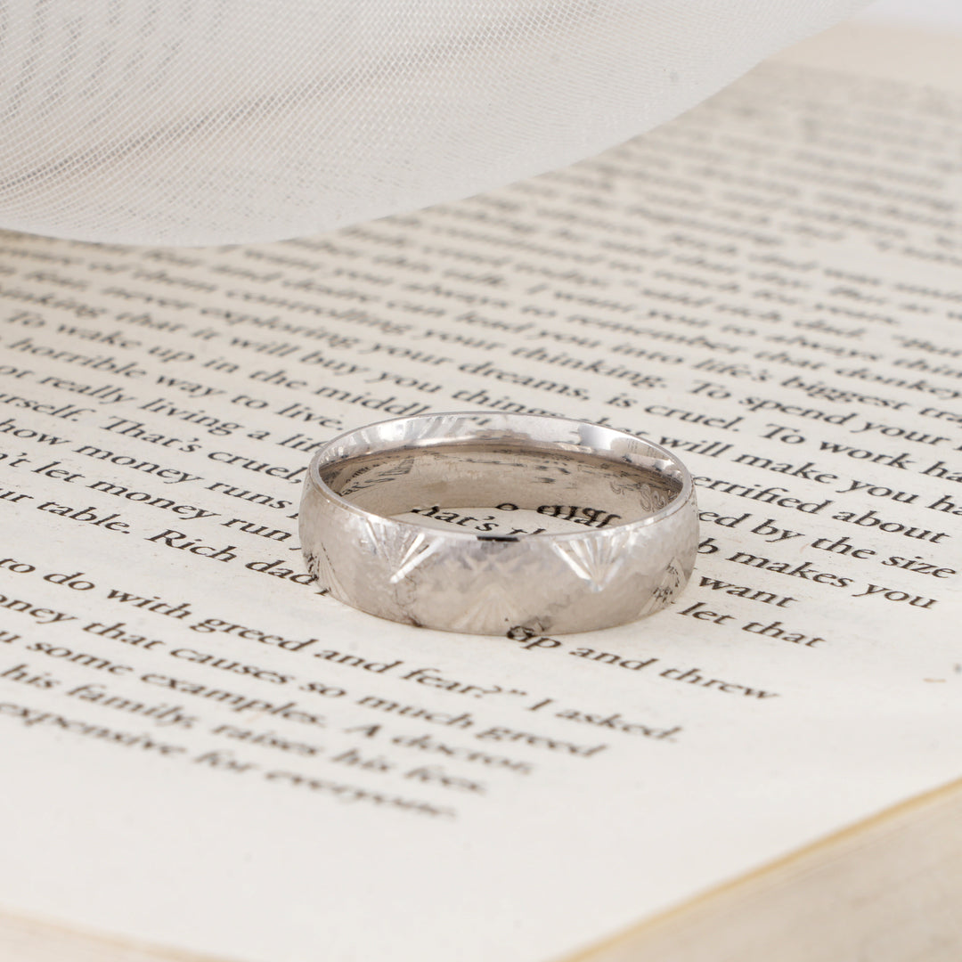 Elegant Meteorite Silver Men’s Ring