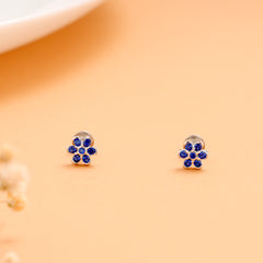 Vibrant Blue Colour Stone with Silver Stud