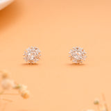 Oval Halo Cluster Silver Stud