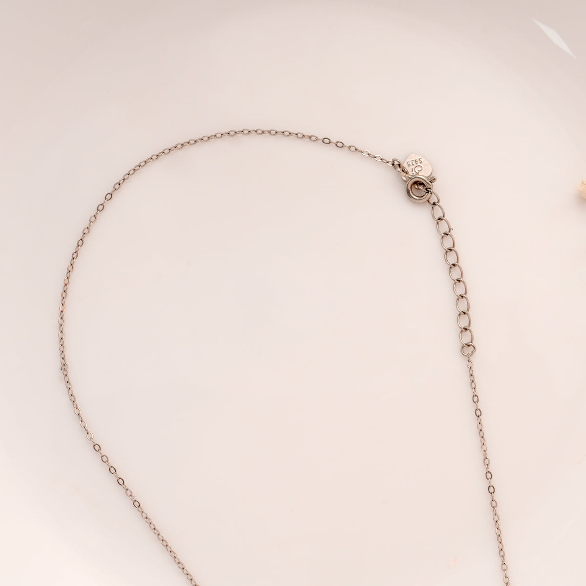 Charming Dolphin Pendant Silver Chain