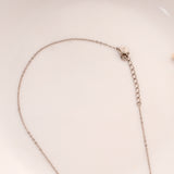 Charming Dolphin Pendant Silver Chain