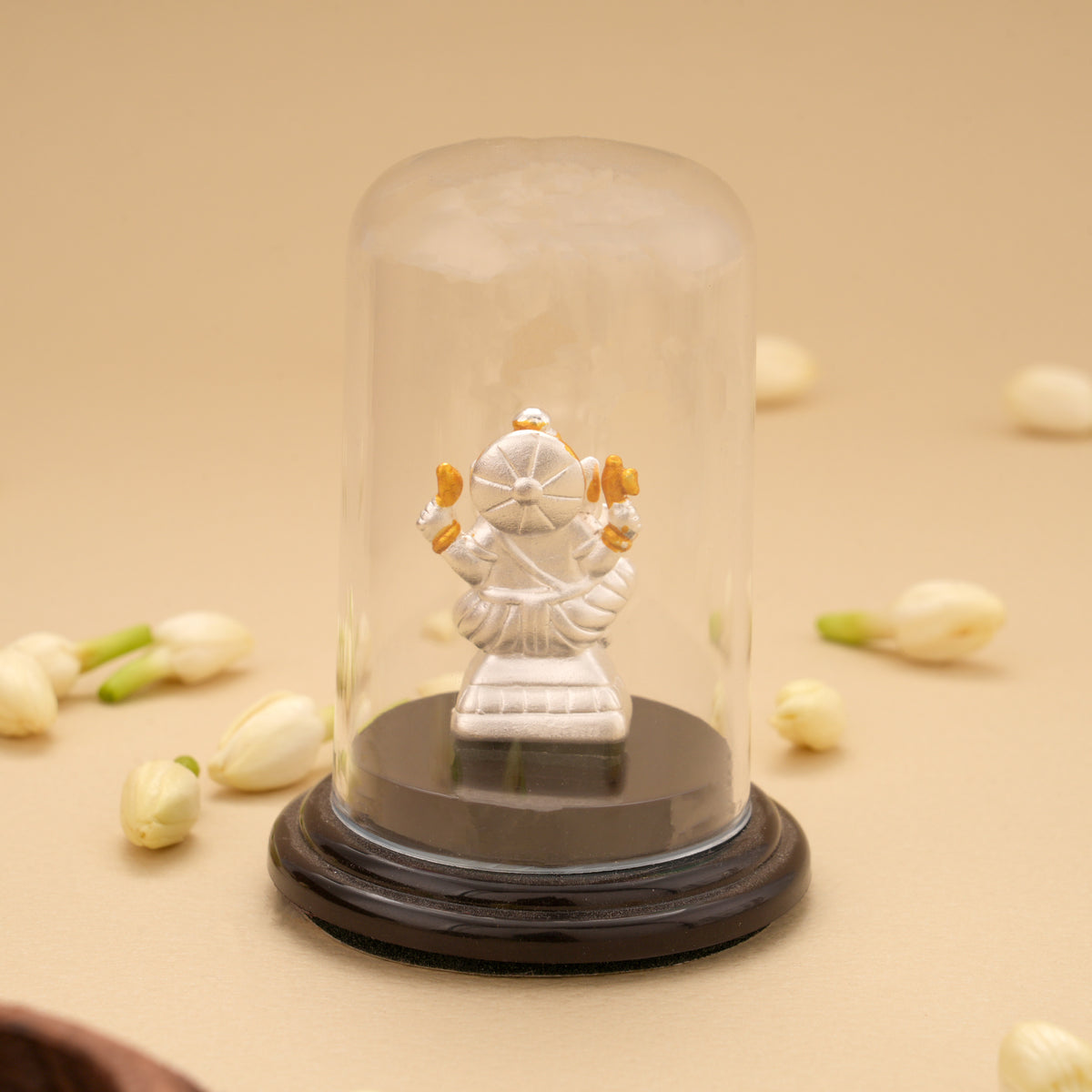 Divine RajaGanapathy with Silver Idol