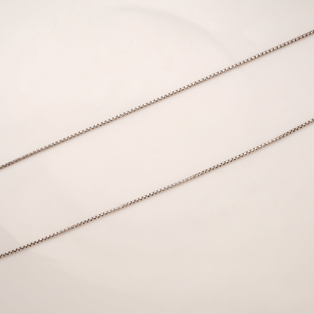 Sleek Box Design Silver Anklets