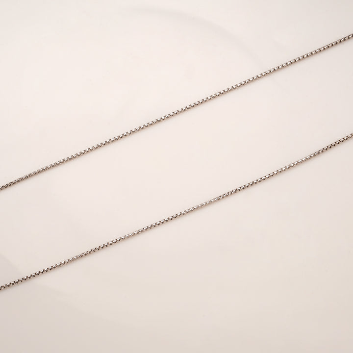 Sleek Box Design Silver Anklets