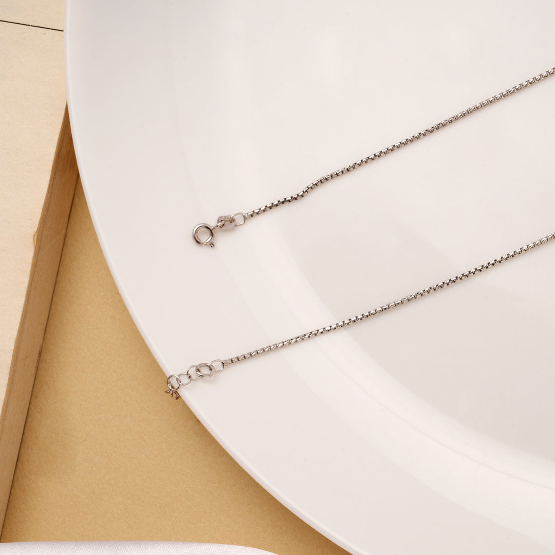 Sleek Box Design Silver Anklets
